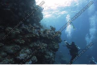 Photo Reference of Coral Sudan Undersea 0017